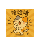 小發喵・いるかな？（個別スタンプ：5）