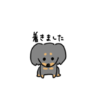 ダックスのP。（個別スタンプ：2）