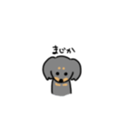 ダックスのP。（個別スタンプ：15）