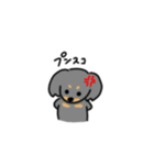 ダックスのP。（個別スタンプ：17）