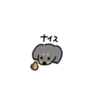ダックスのP。（個別スタンプ：21）