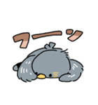 とりです、はい（個別スタンプ：19）
