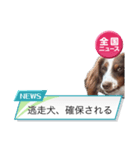 カグラくんスタンプ12（個別スタンプ：1）
