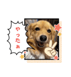 チロル＆チョコ 16（個別スタンプ：3）