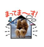 チロル＆チョコ 16（個別スタンプ：21）