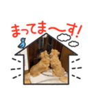 チロル＆チョコ 16（個別スタンプ：22）