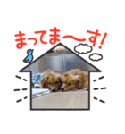 チロル＆チョコ 16（個別スタンプ：23）