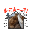 チロル＆チョコ 16（個別スタンプ：24）