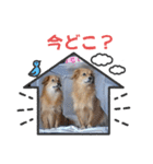 チロル＆チョコ 16（個別スタンプ：25）