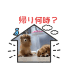 チロル＆チョコ 16（個別スタンプ：26）