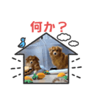 チロル＆チョコ 16（個別スタンプ：29）