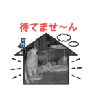 チロル＆チョコ 16（個別スタンプ：35）
