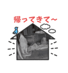 チロル＆チョコ 16（個別スタンプ：36）