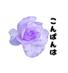 動く大きなお花と敬語のスタンプ（個別スタンプ：3）