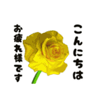 動く大きなお花と敬語のスタンプ（個別スタンプ：6）