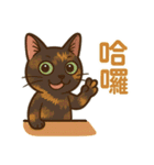 さびねこのあゆ（個別スタンプ：1）