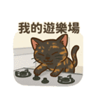 さびねこのあゆ（個別スタンプ：24）