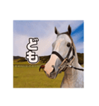 毎日ゴルシ（個別スタンプ：1）