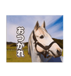 毎日ゴルシ（個別スタンプ：2）