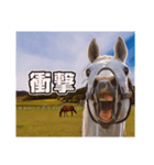 毎日ゴルシ（個別スタンプ：6）