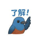 幸せの青い鳥♪イソヒヨドリくん（個別スタンプ：2）
