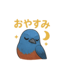 幸せの青い鳥♪イソヒヨドリくん（個別スタンプ：9）