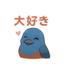 幸せの青い鳥♪イソヒヨドリくん（個別スタンプ：16）