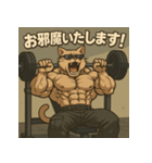 ムキ！筋肉猫。（個別スタンプ：12）