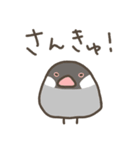 ゆるいとりさんのスタンプ（個別スタンプ：15）