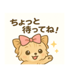 甘えん坊ヨーキー（個別スタンプ：1）