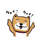 ワンコ君、日常編！vol.6（個別スタンプ：2）