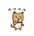 ワンコ君、日常編！vol.6（個別スタンプ：3）
