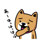 ワンコ君、日常編！vol.6（個別スタンプ：4）
