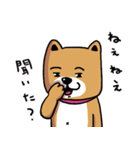 ワンコ君、日常編！vol.6（個別スタンプ：6）