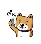 ワンコ君、日常編！vol.6（個別スタンプ：7）