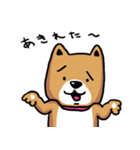 ワンコ君、日常編！vol.6（個別スタンプ：14）