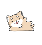 動く！ちわわわ！（個別スタンプ：2）