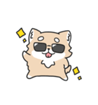 動く！ちわわわ！（個別スタンプ：3）