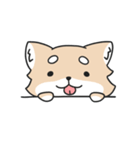 動く！ちわわわ！（個別スタンプ：6）