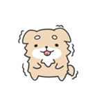 動く！ちわわわ！（個別スタンプ：7）
