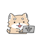 動く！ちわわわ！（個別スタンプ：8）