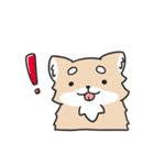 動く！ちわわわ！（個別スタンプ：9）