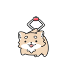 動く！ちわわわ！（個別スタンプ：10）