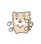 動く！ちわわわ！（個別スタンプ：11）