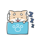 動く！ちわわわ！（個別スタンプ：14）