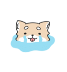 動く！ちわわわ！（個別スタンプ：15）