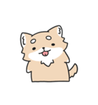 動く！ちわわわ！（個別スタンプ：16）