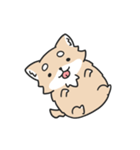 動く！ちわわわ！（個別スタンプ：18）