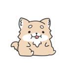 動く！ちわわわ！（個別スタンプ：20）