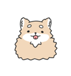 動く！ちわわわ！（個別スタンプ：23）